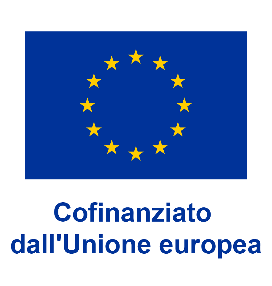 EU Co-funded IT